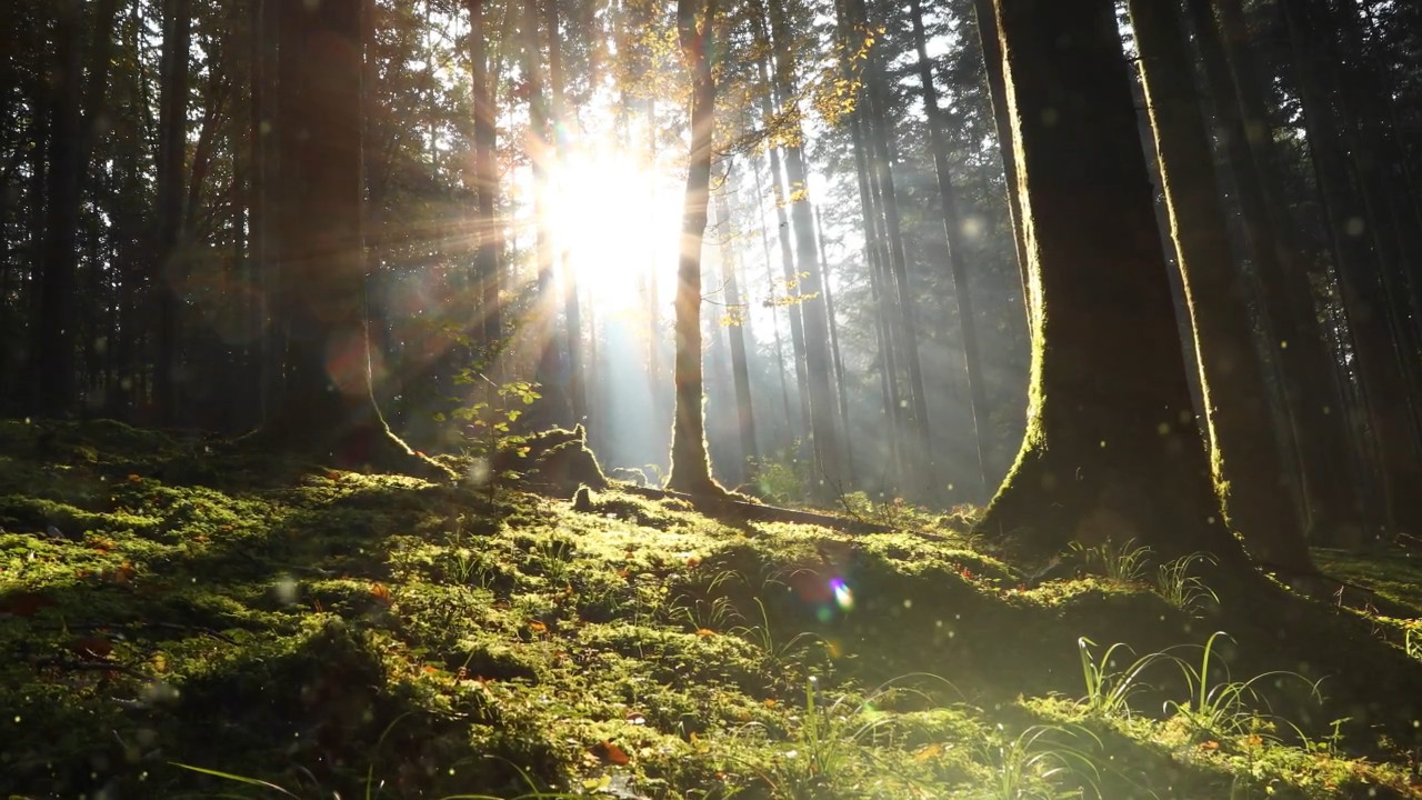 Wanderung