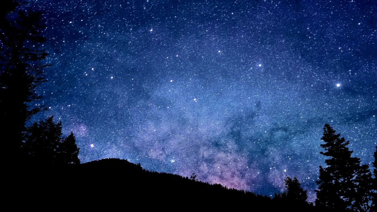 Stars