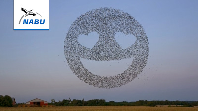 NABU: “Starpost”: personalized video greetings with flocks of emojis